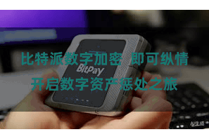 比特派数字加密 即可纵情开启数字资产惩处之旅