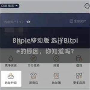 Bitpie移动版 选择Bitpie的原因，你知道吗？