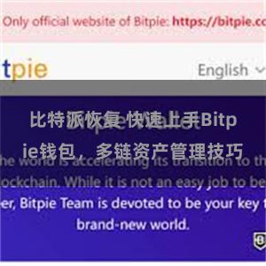 比特派恢复 快速上手Bitpie钱包，多链资产管理技巧