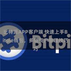 比特派APP客户端 快速上手Bitpie钱包，多链资产管理技巧