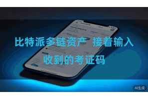 比特派多链资产  接着输入收到的考证码