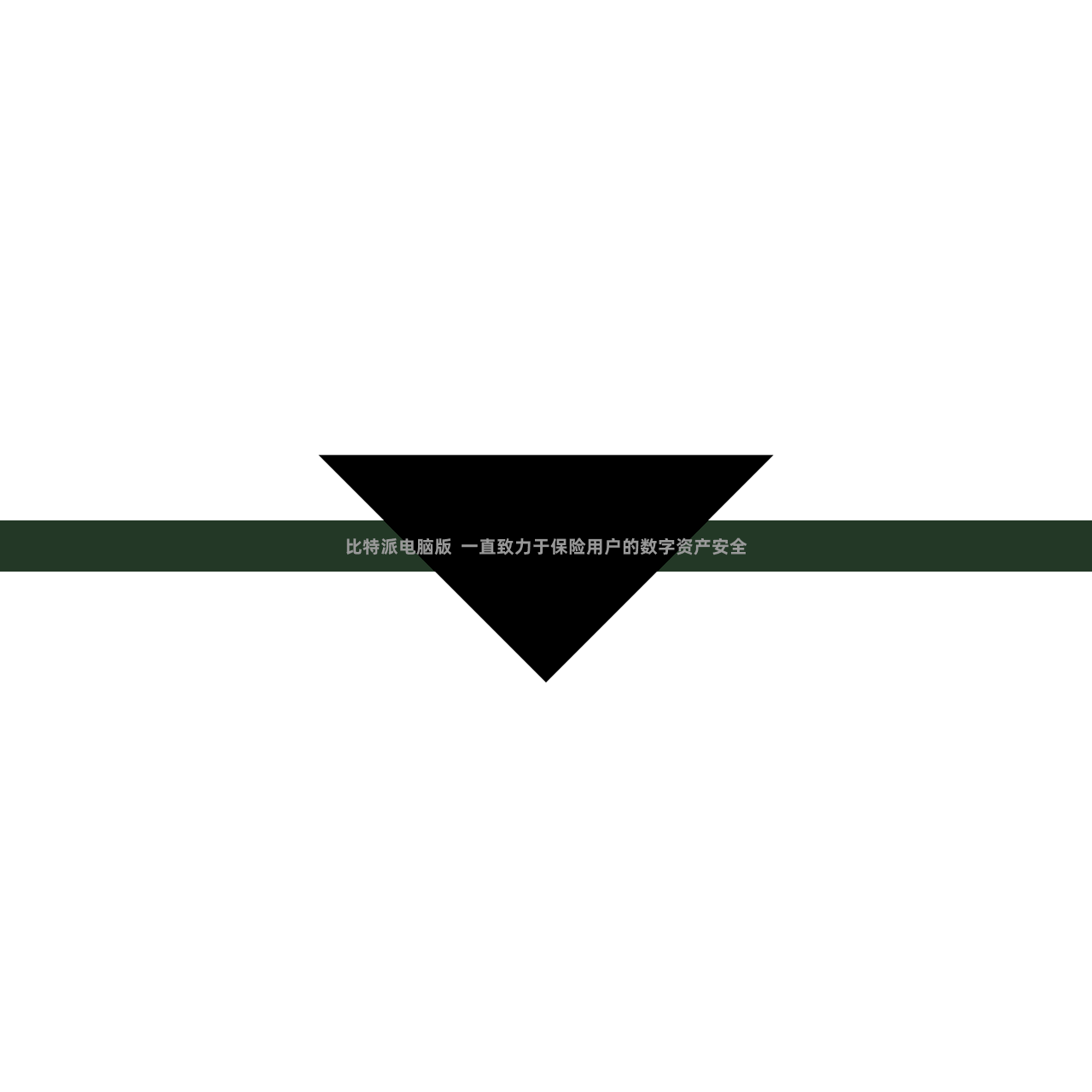 比特派电脑版  一直致力于保险用户的数字资产安全