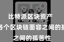 比特派区块资产  由于各个区块链面容之间的孤苦性